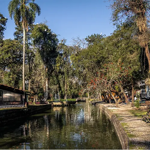 A scenic waterway surrounded by lush greenery in Winter Park, Florida, showcasing Sunstate Roofs as a leading roofing company and contractor providing residential and commercial roofing solutions throughout Central Florida