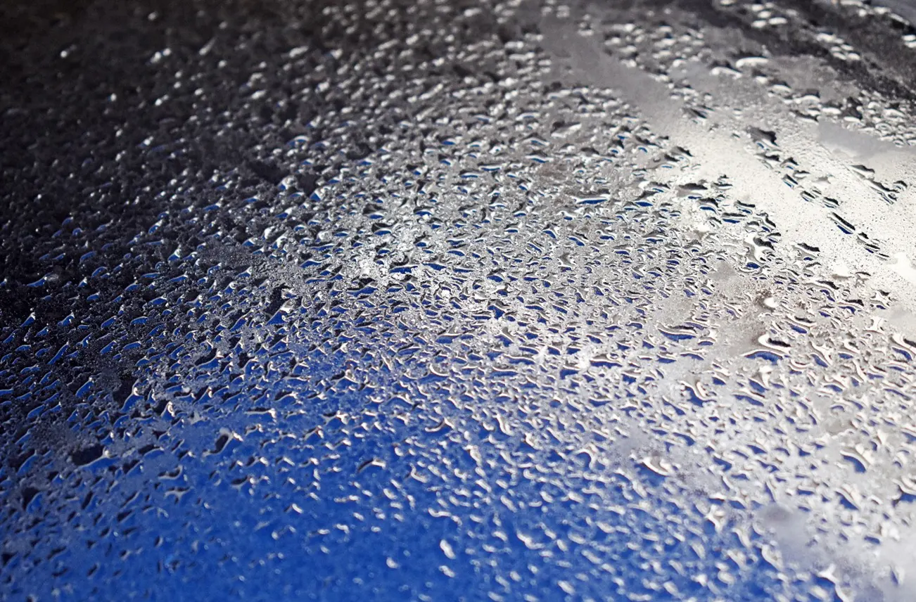 Close-up of water droplets on a waterproofed roof surface, showcasing Sunstate Roofs' residential waterproofing services in Central Florida. For reliable 'waterproofing services' or 'waterproofing services near central florida,' Sunstate Roofs ensures long-term protection against leaks and moisture damage.