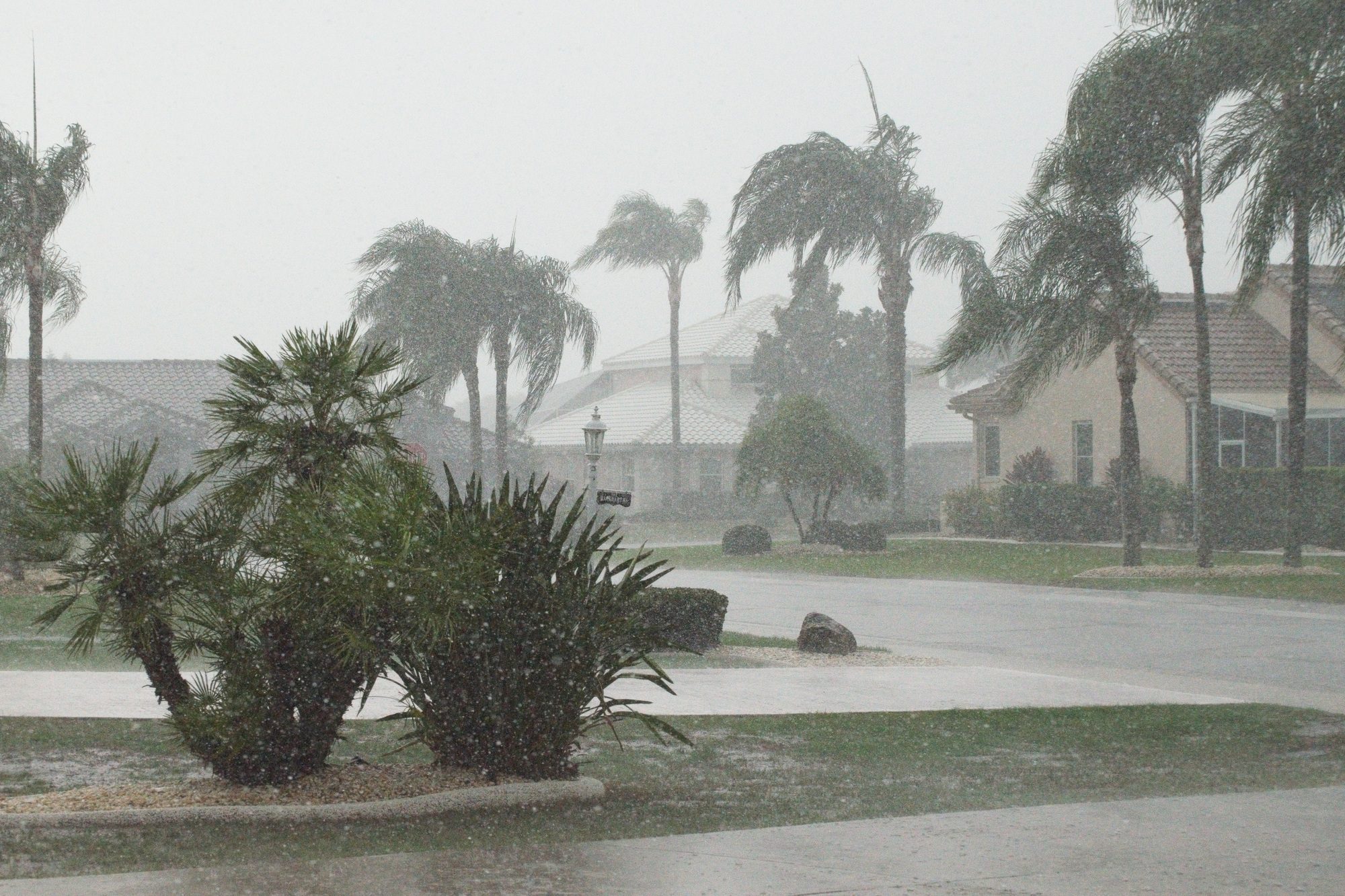 A heavy Florida summertime downpour soaking a residential neighborhood. Reliable Roofing Services in Central Florida ensure durable, weather-resistant roofs to protect homes and businesses from harsh storms and heavy rainfall.