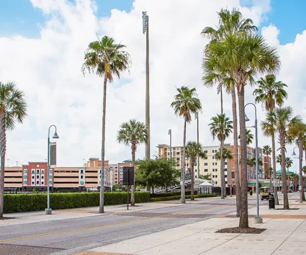 A scenic view of Winter Park, FL, with palm trees and modern architecture, showcasing the charm of Central Florida. Sunstate Roofs, a leading roofing company and contractor, provides high-quality residential roofing and commercial roofing services tailored to Winter Park’s unique architecture